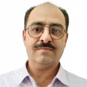 داودی